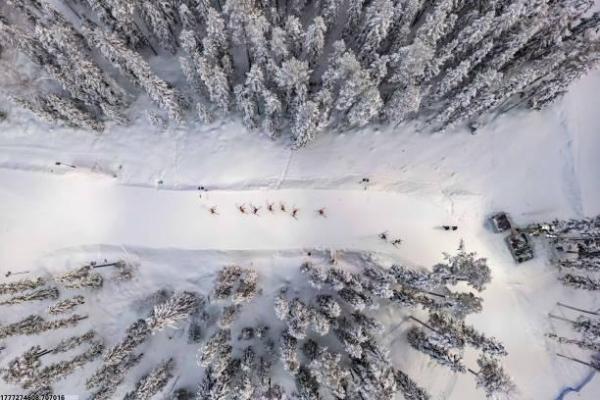 体育培训创业过程中的挑战与机遇(图1)